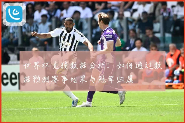 世界杯竞猜数据分析：如何通过数据预测赛事结果与冠军归属