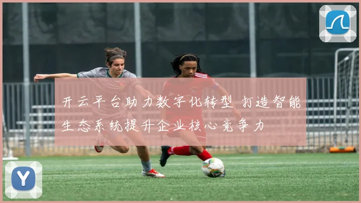 开云平台助力数字化转型 打造智能生态系统提升企业核心竞争力
