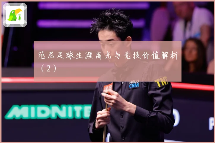 范尼足球生涯高光与竞技价值解析（2）
