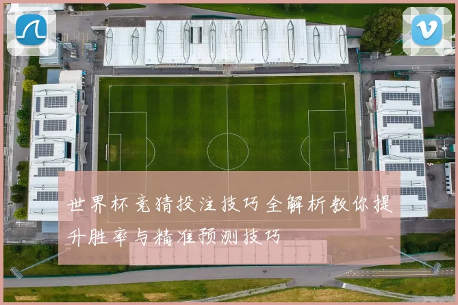 世界杯竞猜投注技巧全解析教你提升胜率与精准预测技巧
