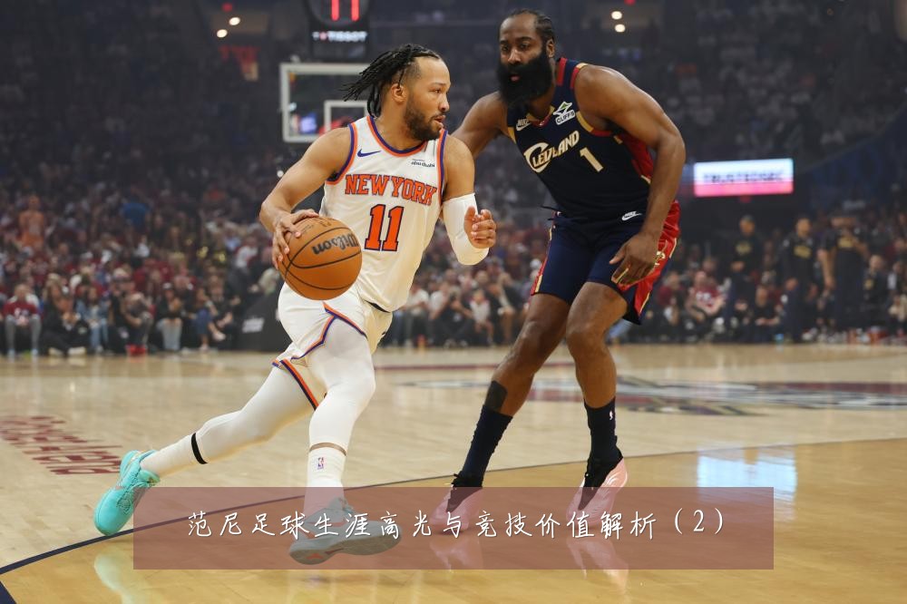范尼足球生涯高光与竞技价值解析（2）
