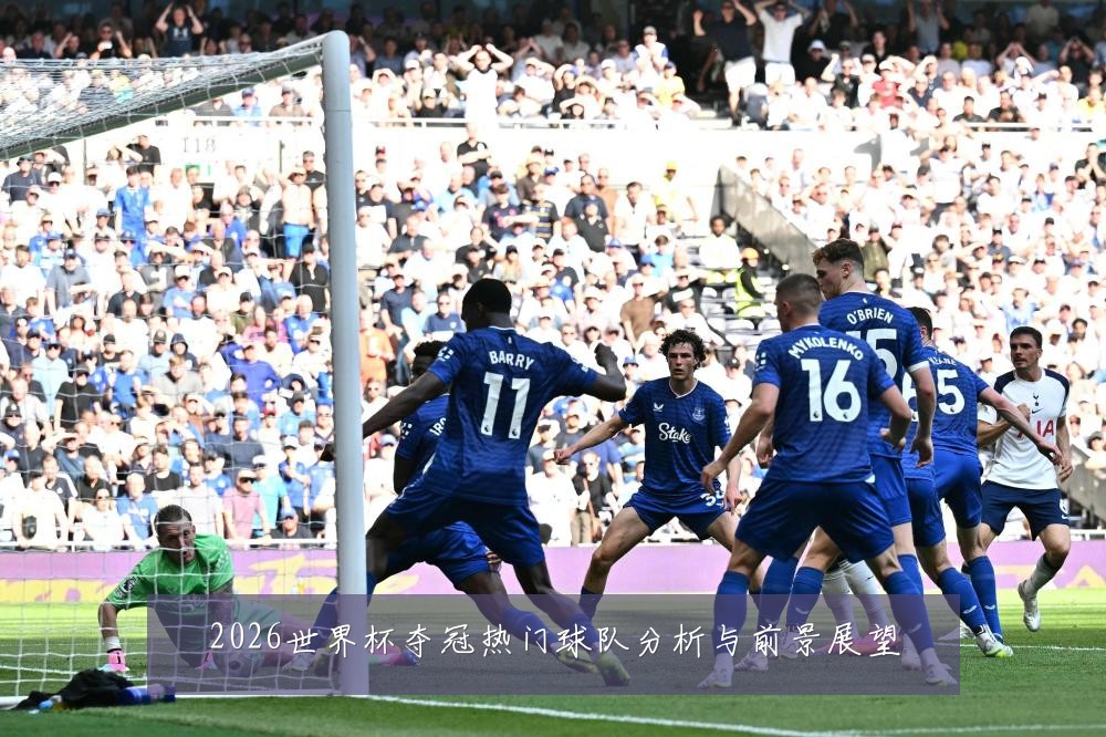 2026世界杯夺冠热门球队分析与前景展望