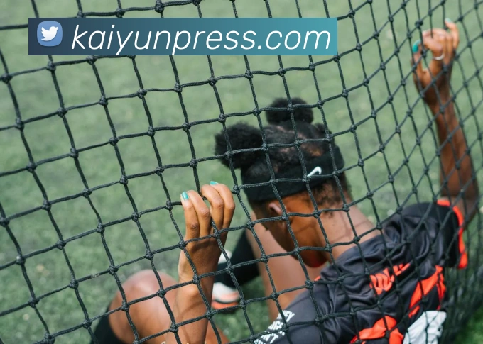 开云平台展示图